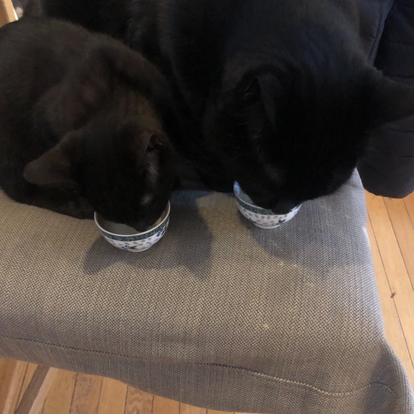 Meet your Posher, Michelle - Picture 5 of 5